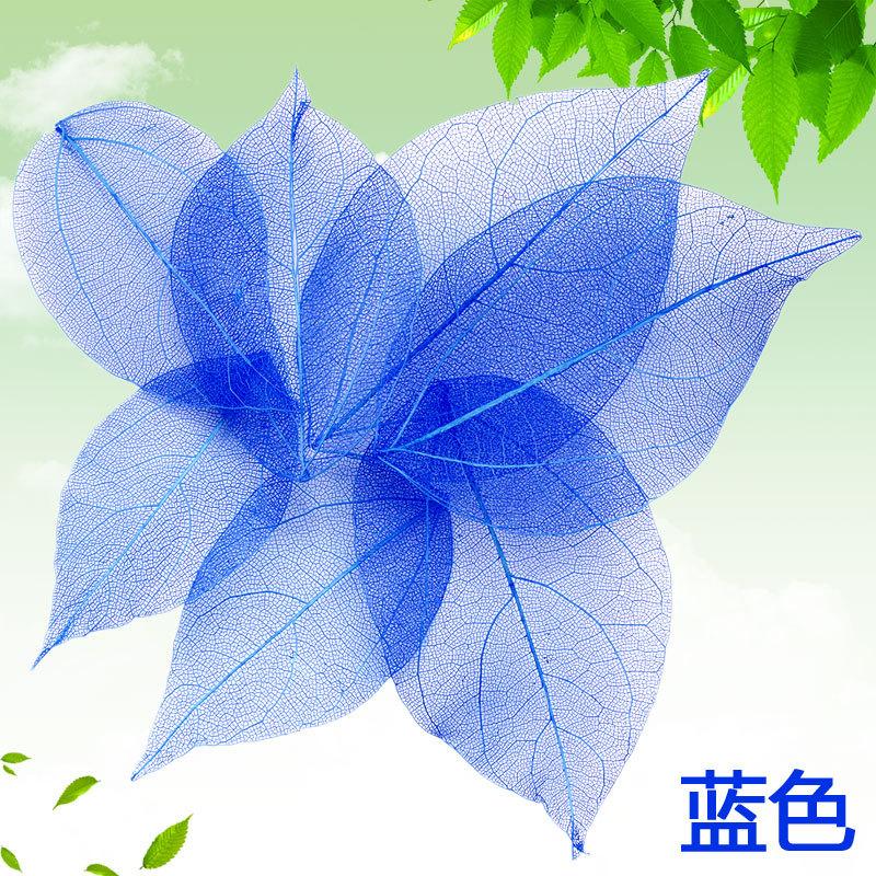 Dried Flowers Natural Skeleton Leaf Vein DIY Handmade Materials Nail Art Flowers Material for Wedding Party Home Decor-20/24pcs