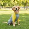 Quick Drying Dog Cooling Jumpsuit Breathable Dog Sunscreen Costume  Spring Summer