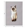 Gatto Ragdoll Bambola di Pezza Gattino Birmano Seal Point Coperta Plaid Per coperte e coperte per bambini Coperte Turistiche Vintage