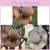 Summer Straw Hat With Flower Embellishments And Large Brim For Sun Protection And Casual Outings