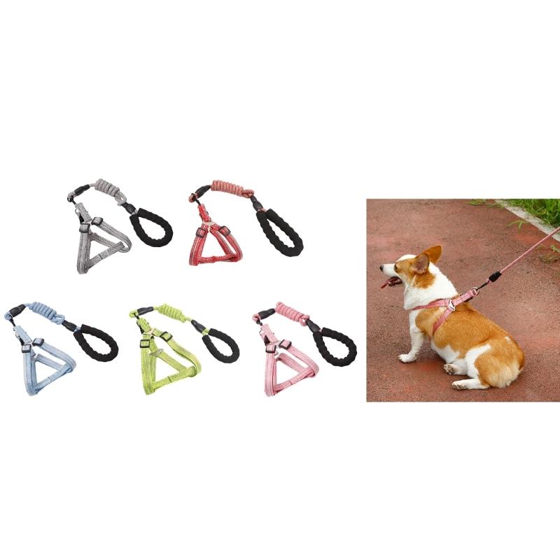 Dog Leash Slip Belt Leash Harnesses Rope Long Pet Strong Training Walking Swimming Belt Soft Handle
