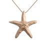 European American Fashion Geometric Starfish Alloy Long Womens Sweater Necklace