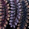 Trendy Hairpins For Girls Leaves Flower Hair Clips Hair Claws Korean Barrettes Women Hair Comb
