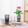 Hydroponic Flower Vase Transparent Vertical Grained Glass Design Vase Reusable PET Modern Nordic Style Vase for Flowers Pothos