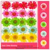 Handmade Pressed Flower Bookmark and Epoxy Sticker Pack with Real Leaf and Plant Specimens for DIY Face Makeup.