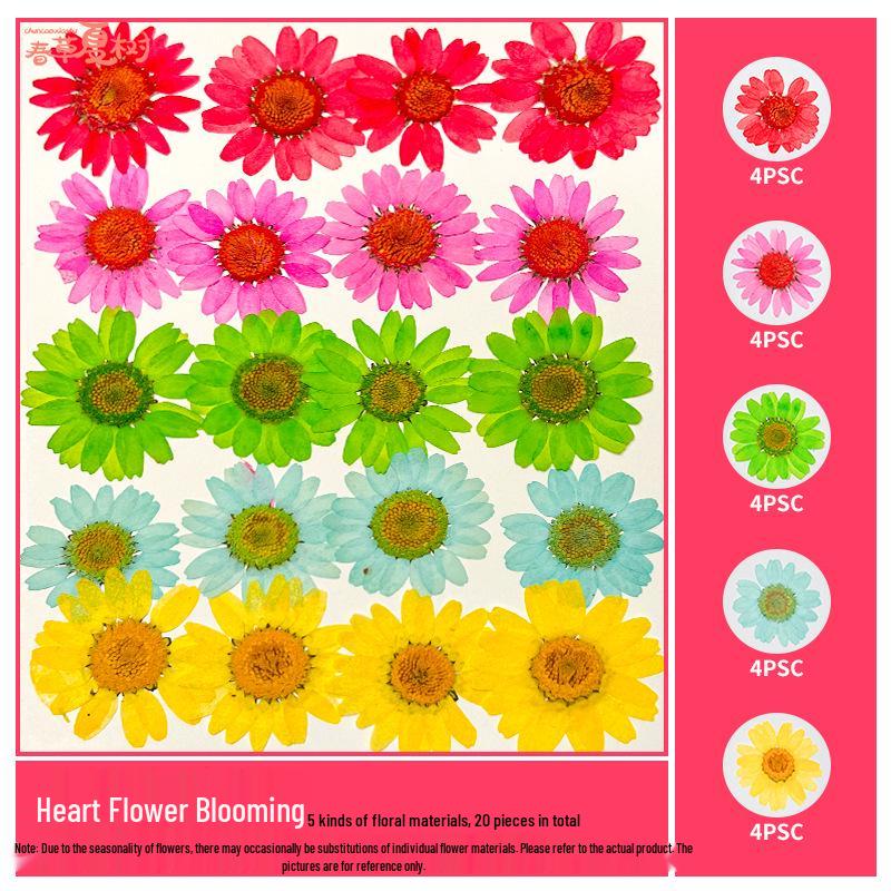 Handmade Pressed Flower Bookmark and Epoxy Sticker Pack with Real Leaf and Plant Specimens for DIY Face Makeup.