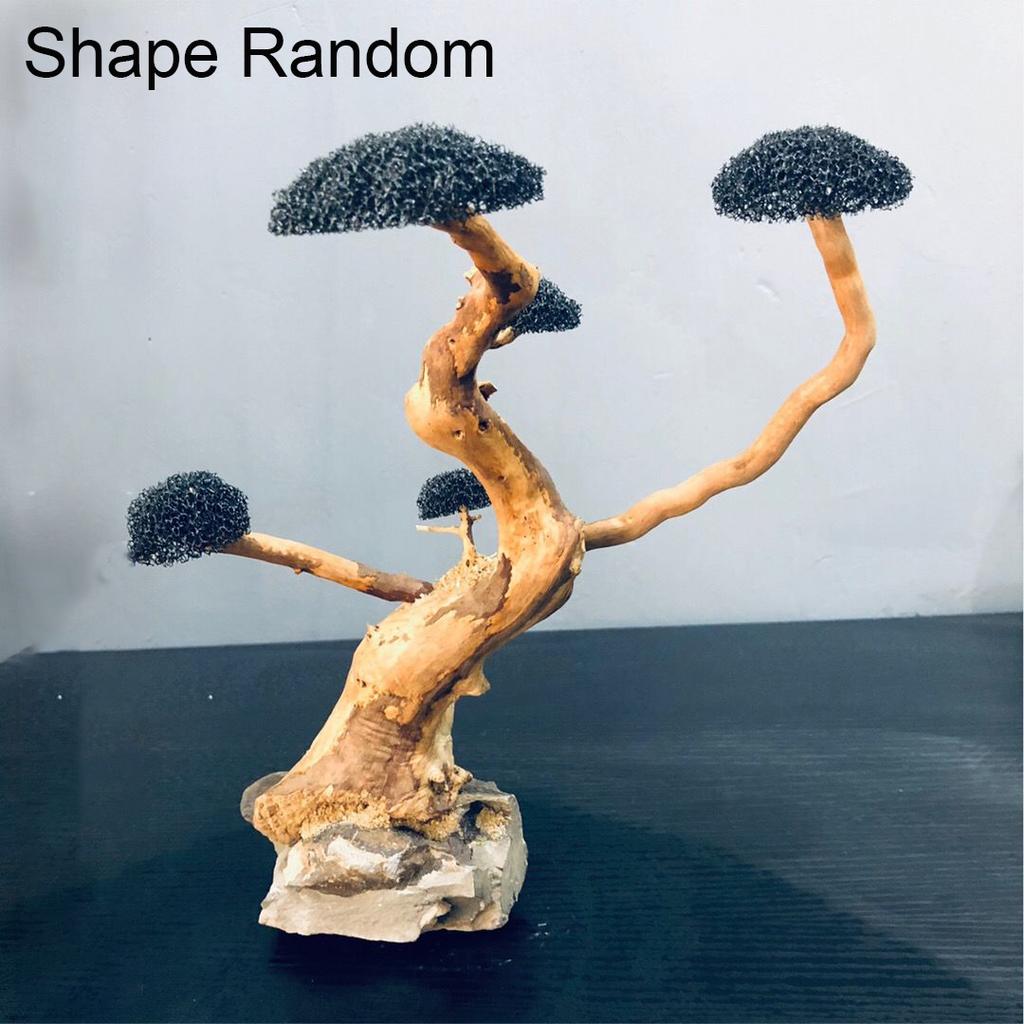 Aquarium Decoration Moss Driftwood Fish Tank Landscaping Water Grass Moss Tree Trunk DIY (No Aquatic Plants)