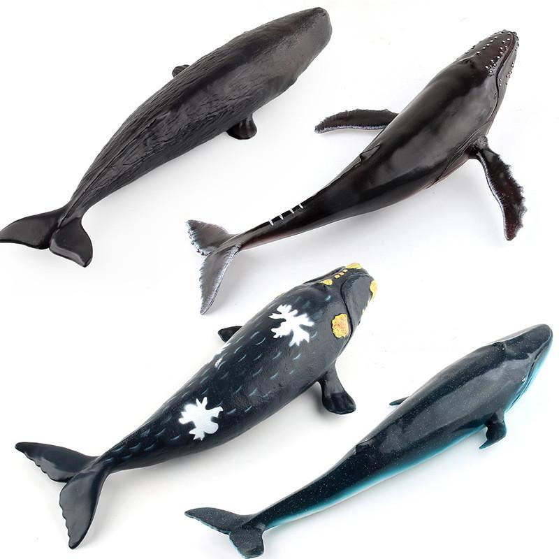 Soft Pvc Ocean Animal Model Toy Collection Featuring Blue Whale And Sperm Whale