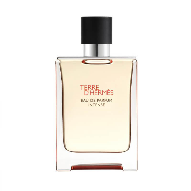 Hermès Terre d'Hermès Eau de Parfum Intense 100 ml Rotbraun