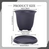 Bonsai Pot Flower Planter Training Bowl with Drainage System And Moisture Storage Made of PP for