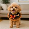 Pet Supplies Adjustable Halloween Pet Lace Collar Decorative Comfortable Pet Pumpkin Necklace Spider Ghost Pet Bib Scarf Party