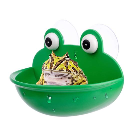 Reptile Feeder with Suction Cup Pet Landscaping Plastic Frog Tortoise Amphibian Rest Living Container Pet Supplies