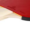 Decathlon Table Tennis Bat