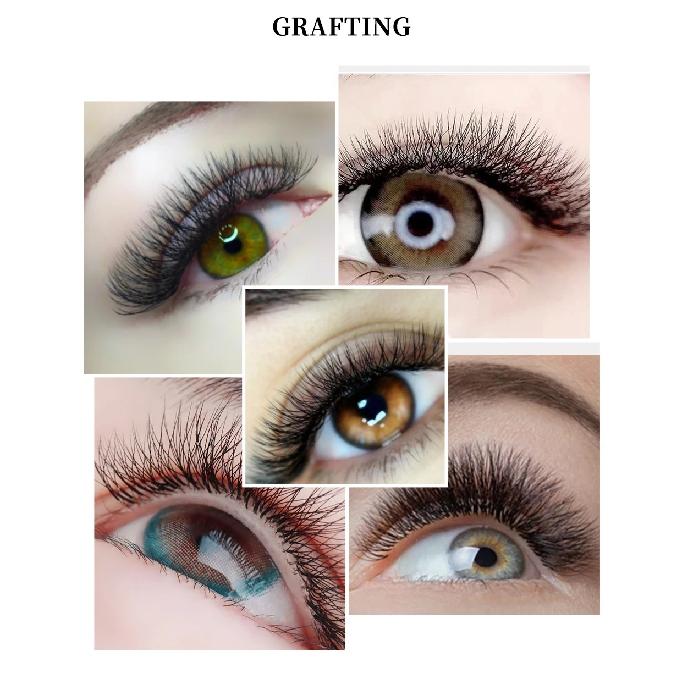 Yelix Cilios 5D W Shape Eyelash Extensions 4D/6D/8D Premade Volume Fans Natural Soft Automatic Flowering Lash Makeup Supplies