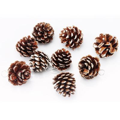 9PC Christmas Pine Cone Christmas Pendant Christmas Tree Decoration Natural Pinecone Dyed White Paint