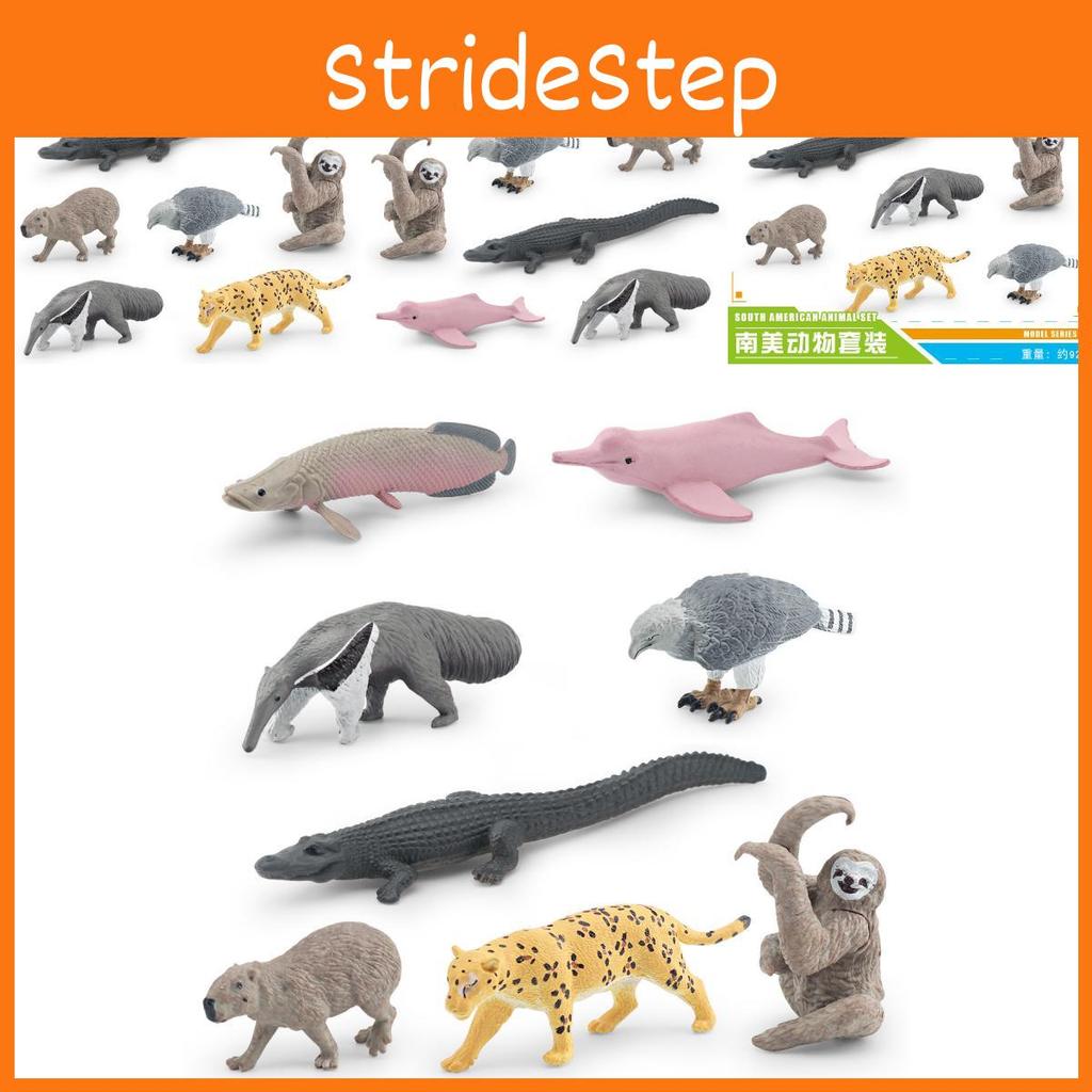 Realistic South American Animal Figurine Set Of 8 Pvc Models For Collectors And Decor