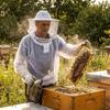 Mesh Smock Beekeeping Suit Breathable Beekeeper Clothes Professional Bee Keeper Jacket Unisex