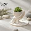 Niche Unique Gift for Plant Lovers 3D Printed Palm Shaped Succulent Planter with Drainage Tray, Holding Desktop Micro Landscape Pot Mini Flower