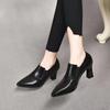 Spring and Autumn New Thick Heeled Women Shoes Fashion Black Pointed Toe Comfortable Shallow Mouth Slip on Pumps Single Shoes