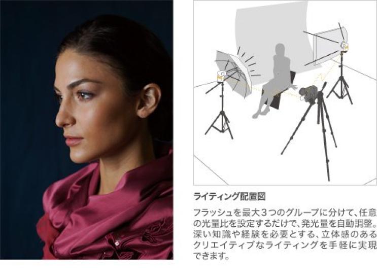 Sony Flash HVL-F43AM