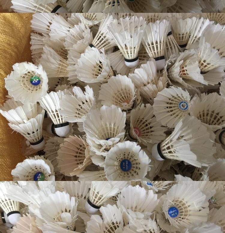 Pre-owned Durable Badminton Training Balls - Box of 6 (70% New)