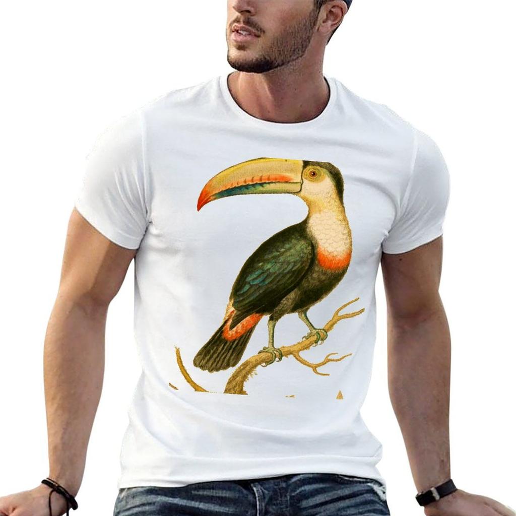 Il Tucano - Uccello HD immagine vintage dall'enciclopedia numero 9 Maglietta T-Shirt di Cotone Base