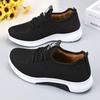 Autumn and Winter Cloth Shoes Women's Cotton Shoes Medium and Old Velvet Thickened Two Cotton Shoes One Pedal Casual