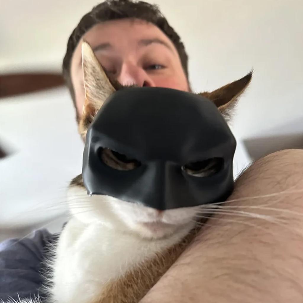 atman Cat Meme Mask - Hilarious Black Bat Mask for Cats, Perfect Pet Costume for Halloween & Everyday Fun