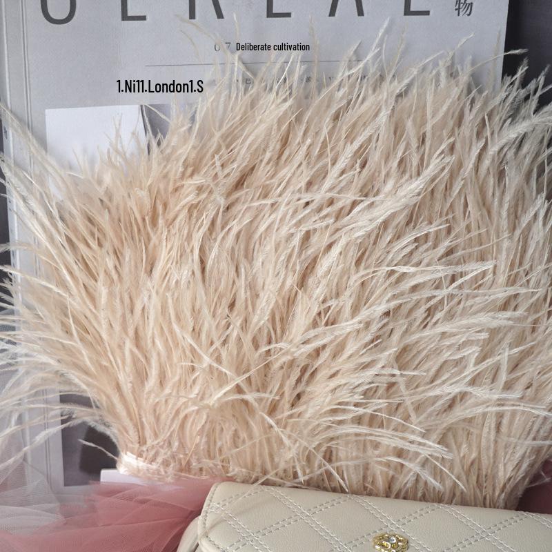 Ostrich Feather Fringe - Various Colors, 10-15cm, 1 Meter for Clothing Accessories