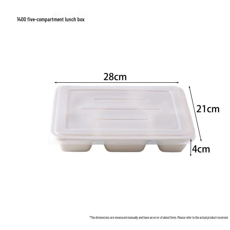 Divided Sugarcane Pulp Meal Prep Containers