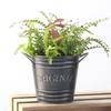 Vintage Double-Handled Iron Basin - Pansy Flower Pot with Retro Distressed Lettering for Garden Decoration