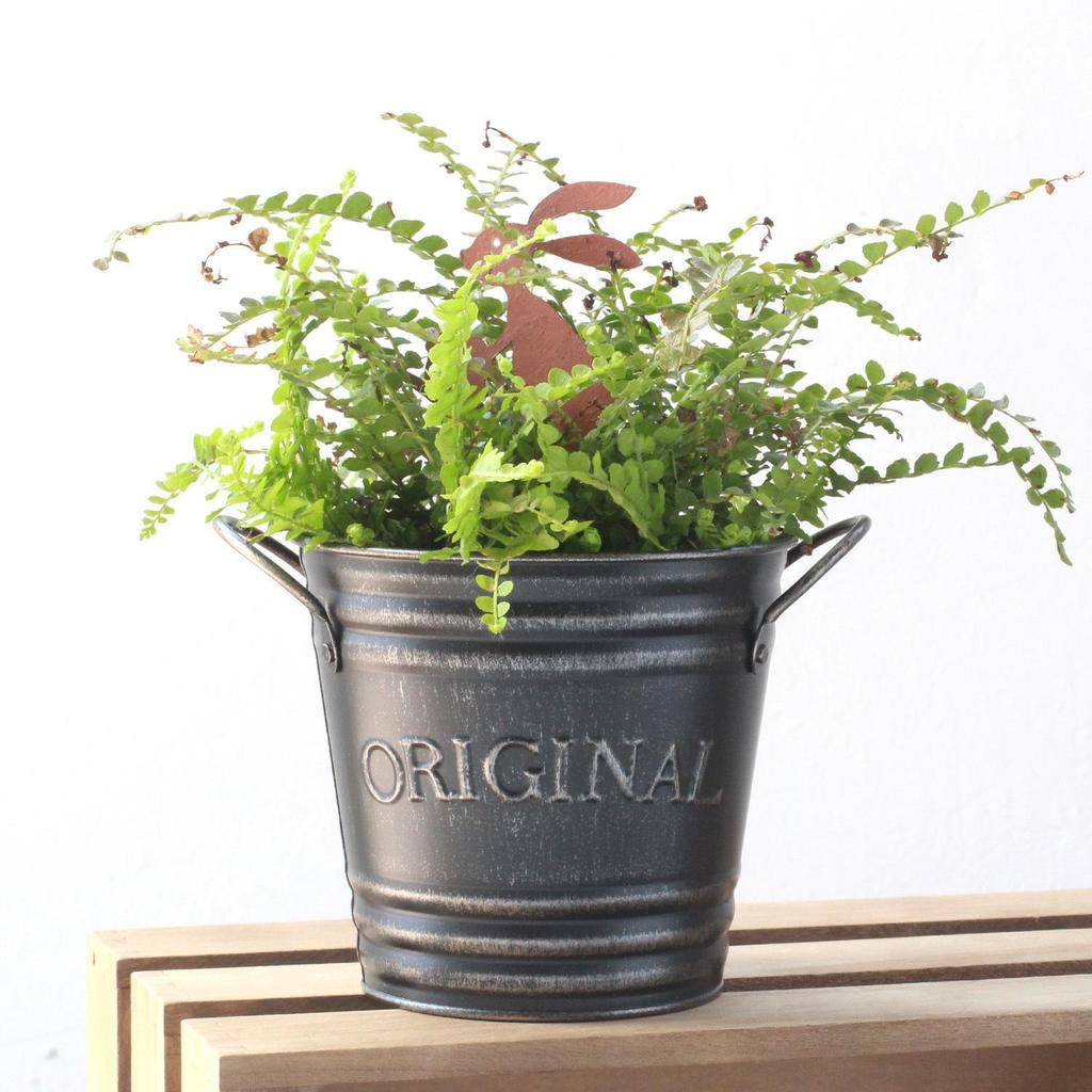 Vintage Double-Handled Iron Basin - Pansy Flower Pot with Retro Distressed Lettering for Garden Decoration