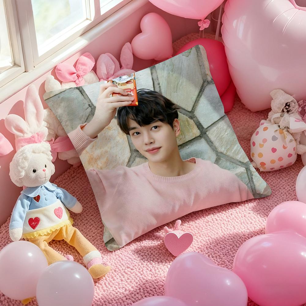 Korean S-Song K-Kang Pillow Case Soft Plush Fabric Double-Sided Printed Cushion Cover Warm Winter Sofa Pillow Case