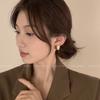 S Silver Needle Retro Earrings Earrings Women's New Trendy Earrings Niche Design Earrings Light Luxury Premium