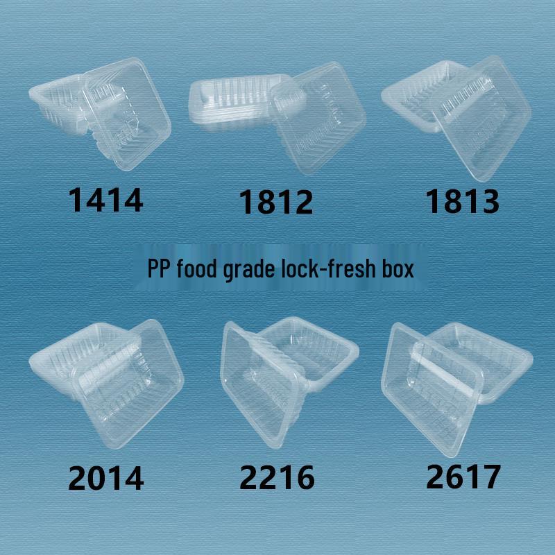 Shixun Disposable Takeaway Food Containers