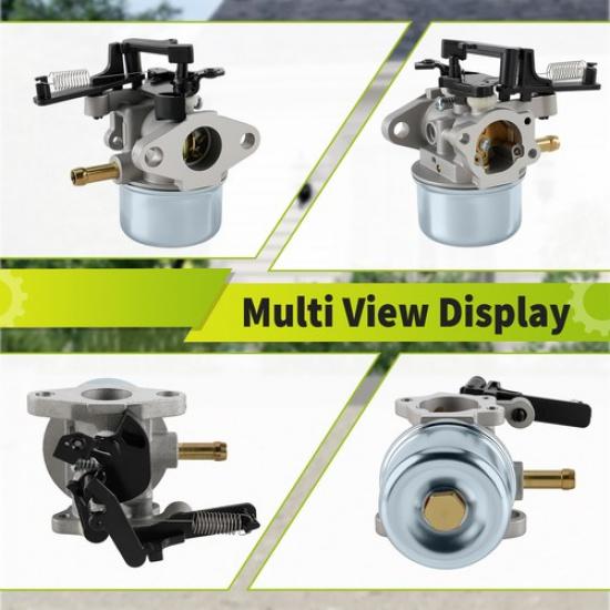 799447 Carburetor Carb For BS 112P02-0004-H1 112P02-0113-B1  Stock