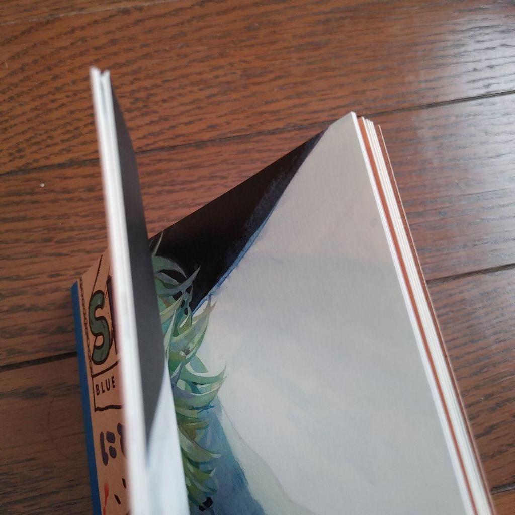 [USED] Blue Period Bonus Sketch Special Book Tsubasa Yamaguchi Illustration Collection