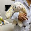 Kawaii Bunny Plushies Soft Toy Animals Cute Fluffy Long Ears Rabbit Toys Doll For Girls Birthday Gifts For Christmas Gifts