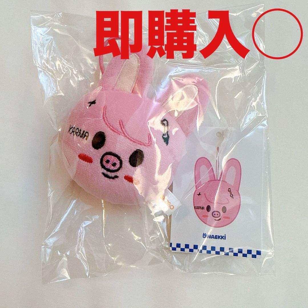 

[USED] Stray Kids SKZOO Name Tag Pop-Up Toe-Ki