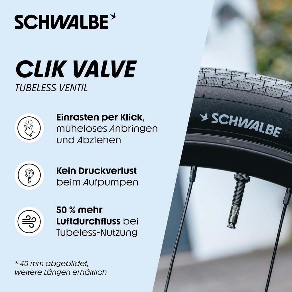 Schwalbe, 3531.