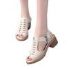2025 New Summer Casual Fashion Women's Fish Mouth High Heels Thick Heel Sandals Women's High Heel Trendy Shoes