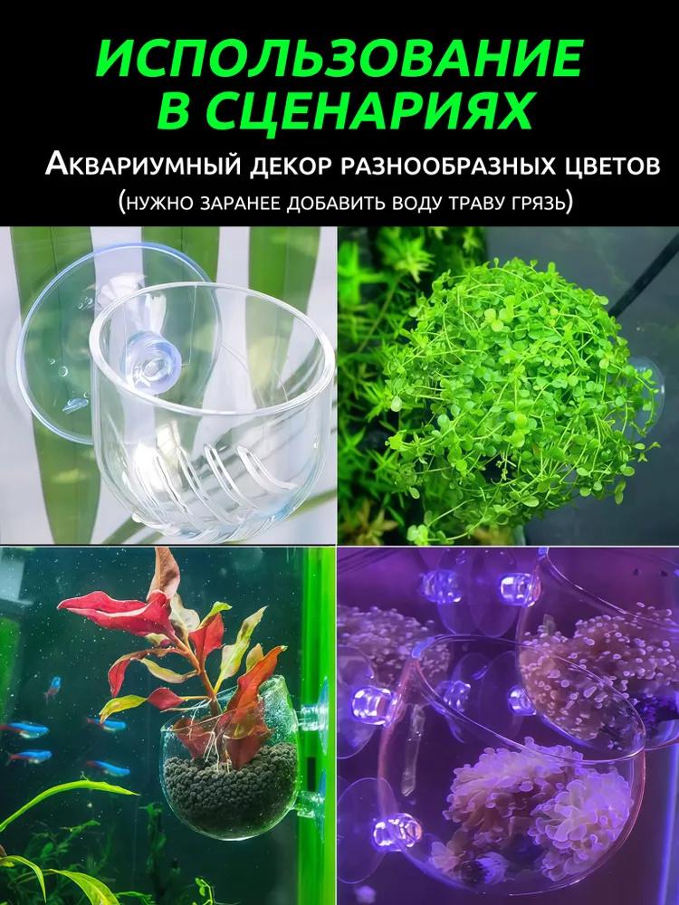 Bloodworm Feeder, Feeding, Bloodworm Cup For Aquarium.
