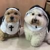 Nun Style Pet Costume Breathing Material Fun Photo Prop For Small And Medium Pets