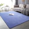 Solid Color Coral Fleece Carpet for Bedroom, Living Room, or Balcony - Full Coverage Mat for Bedside, Bay Window, or Coffee Table.