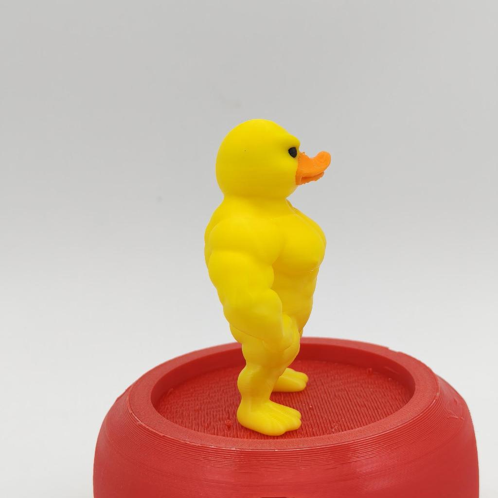Eco-friendly 3D Printed Parody Muscle Duck Ornament