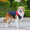 Autumn Winter Padded Dog Vest for Medium/Large Dogs - Water-Resistant Winter Pet Jacket (5 Colors) with Leash Loop