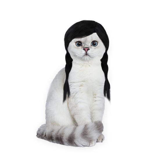 Funny Black Double Ponytail Pet Wig with Adjustable Strap Novelty Dog Cat Cosplay Accessory for Halloween Christmas Parties Festivals