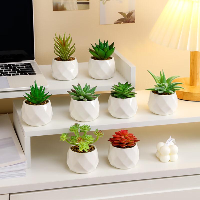 Artificial Succulent Mini Potted Plant Set