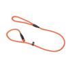 Benji & Flo Classic Dog Slip Lead