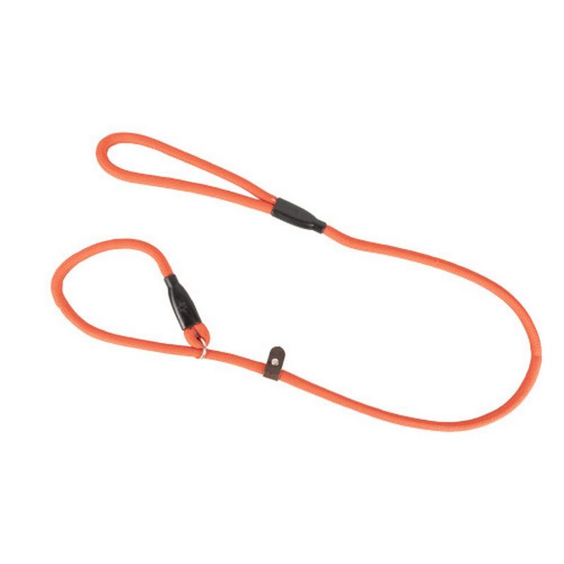Benji & Flo Classic Dog Slip Lead